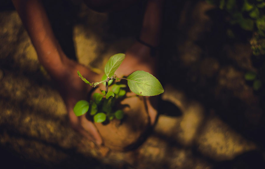 Love and Gratitude for Mother Earth: Simple Ways to Respect Our Planet