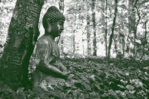 Rituals for Mindful Living: Connecting with Nature and Spirit