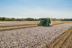 Behind the Clothes: Traceable, Certified, and Ethical