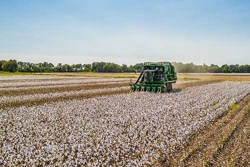 Behind the Clothes: Traceable, Certified, and Ethical
